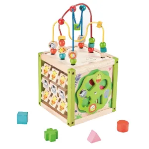 EverEarth My First Multi Play Activity Cube