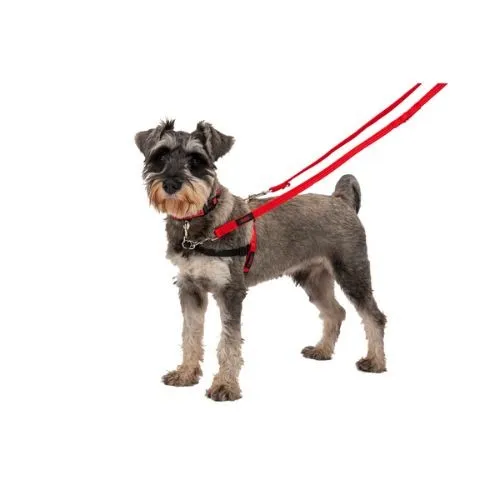 Halti Training Dog Lead Red Small