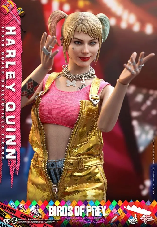 Hot Toys - MMS565 - Birds of Prey - 1/6th scale Harley Quinn Collectible Figure