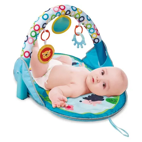 Lucky Baby 2 In 1 Flip & Fun Activity Playgym