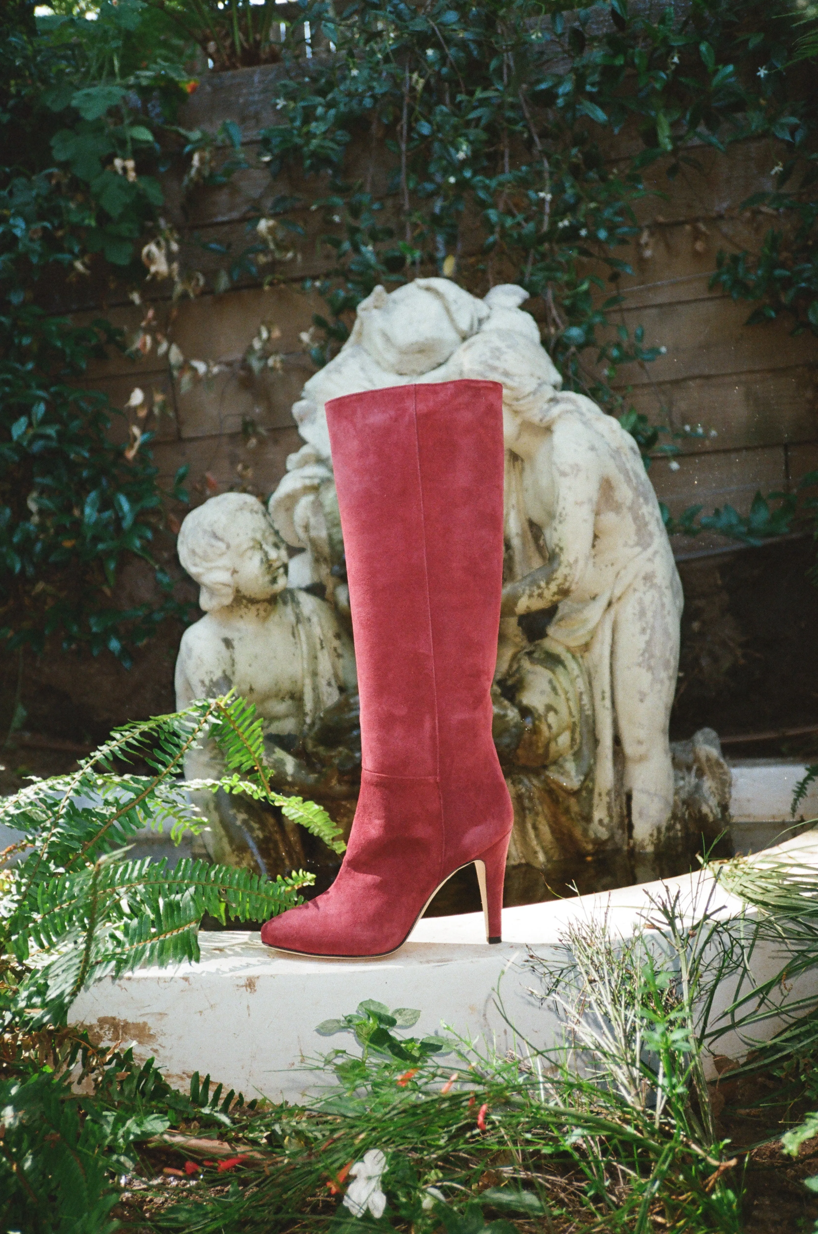 Palms Boot in Oxblood Suede