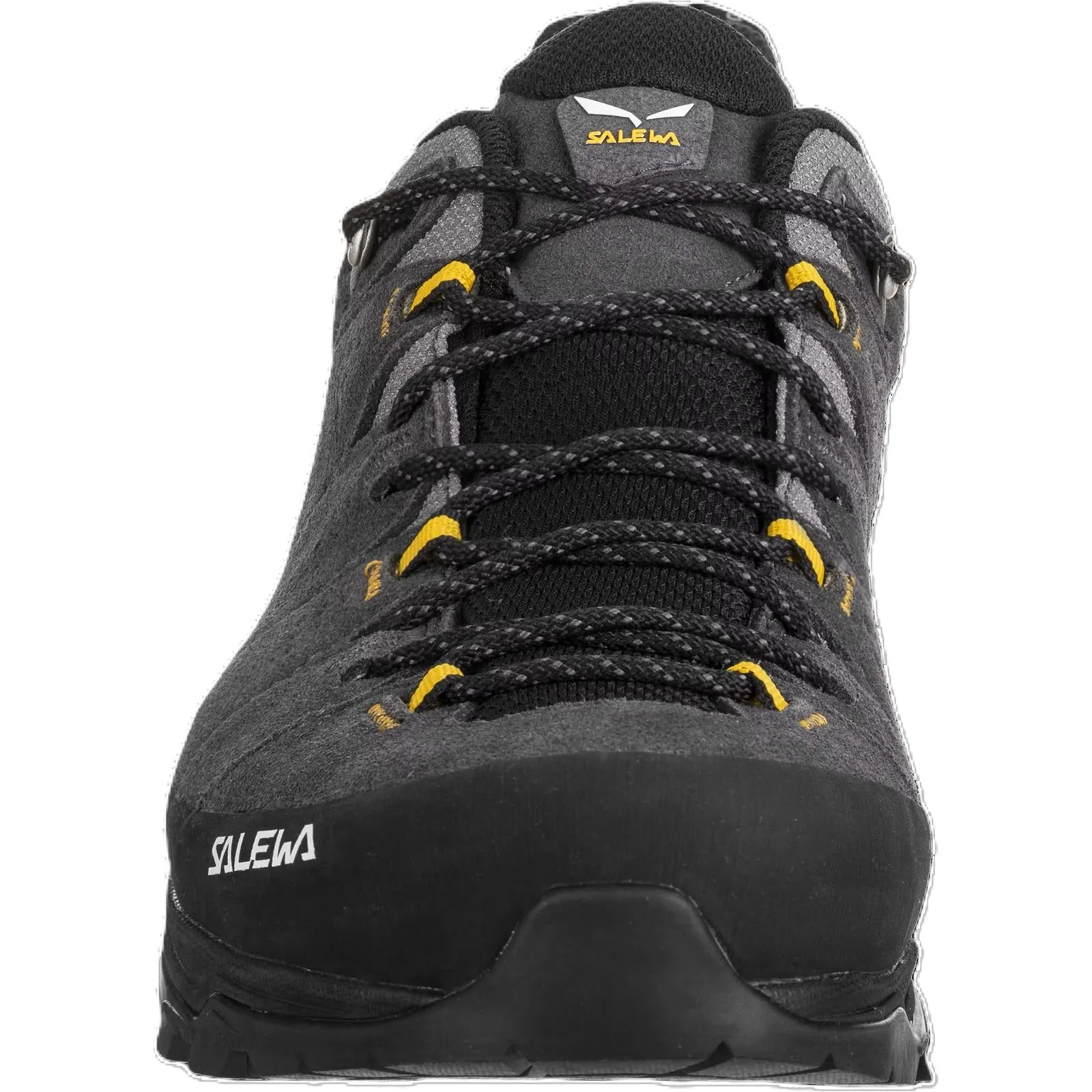 Salewa Mens Alp Trainer 2 GORE-TEX  Walking Shoe