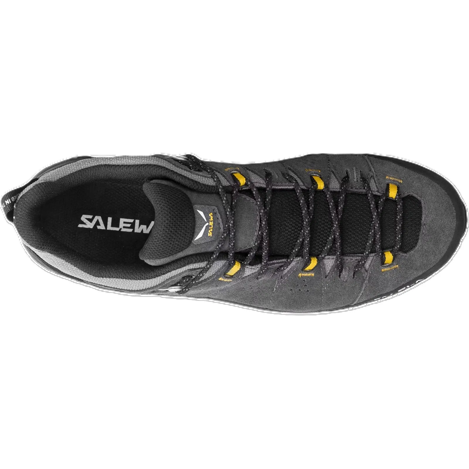 Salewa Mens Alp Trainer 2 GORE-TEX  Walking Shoe