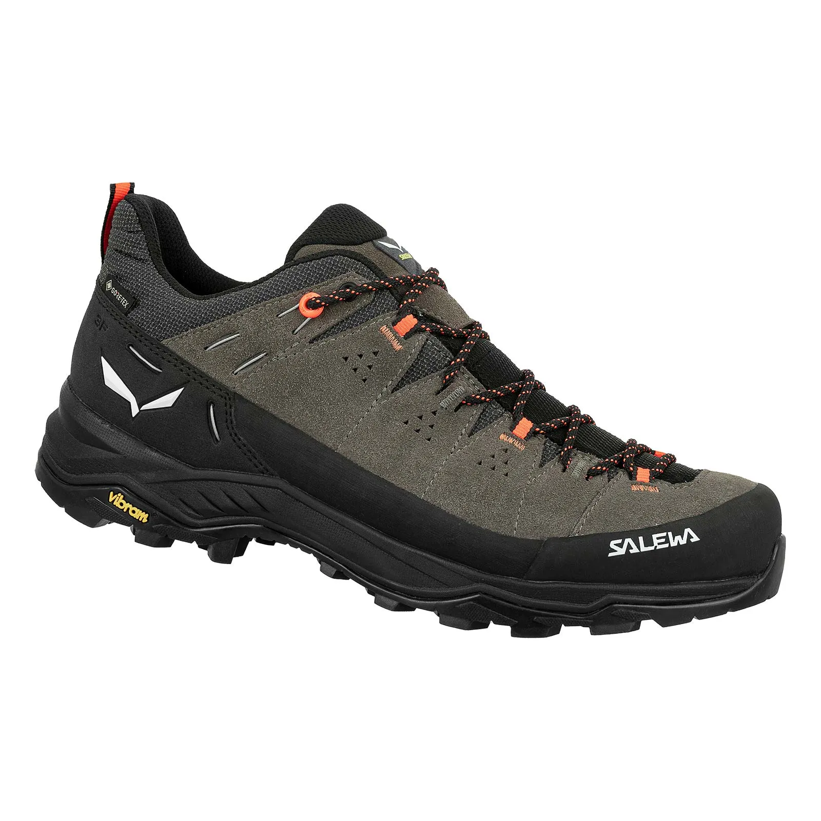 Salewa Mens Alp Trainer 2 GORE-TEX  Walking Shoe