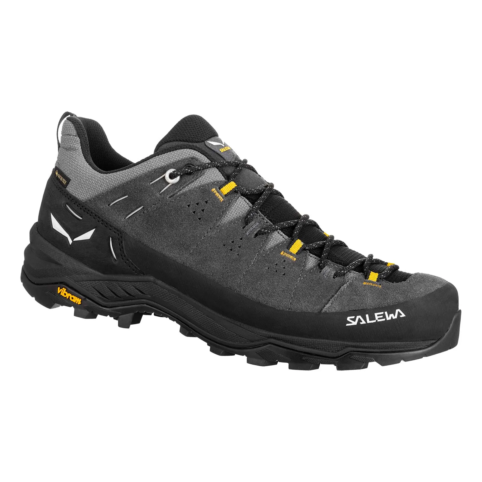 Salewa Mens Alp Trainer 2 GORE-TEX  Walking Shoe