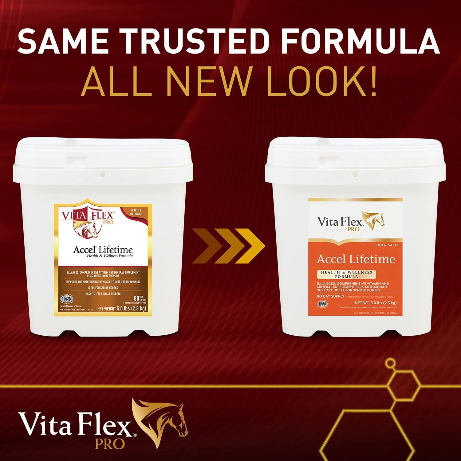 Vita Flex Pro Accel Lifetime Health & Wellness Formula Supplement for Horses